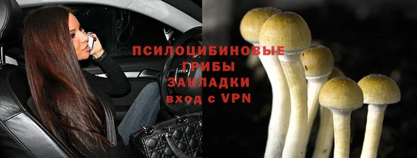 а пвп мука Белокуриха