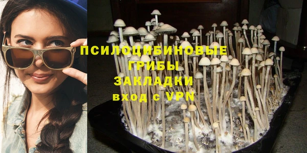 а пвп мука Белокуриха