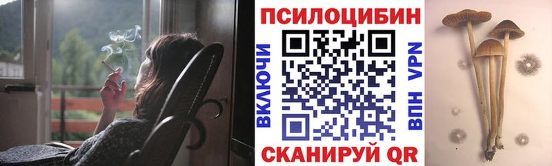 Псилоцибиновые грибы Psilocybe  Западная Двина 
