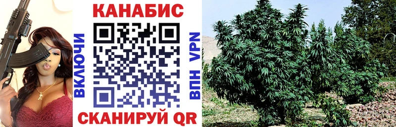 Бошки Шишки Amnesia  дарнет шоп  Западная Двина 